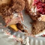 tat-o pasta baklava silivri