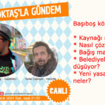 başıboş köpek sorunu havvrita