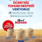 silivri tohum dağıtımı