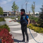 silivri sinek ilaçlama silivri böcek ilaçlama silivri sivrisinek ilaçlama