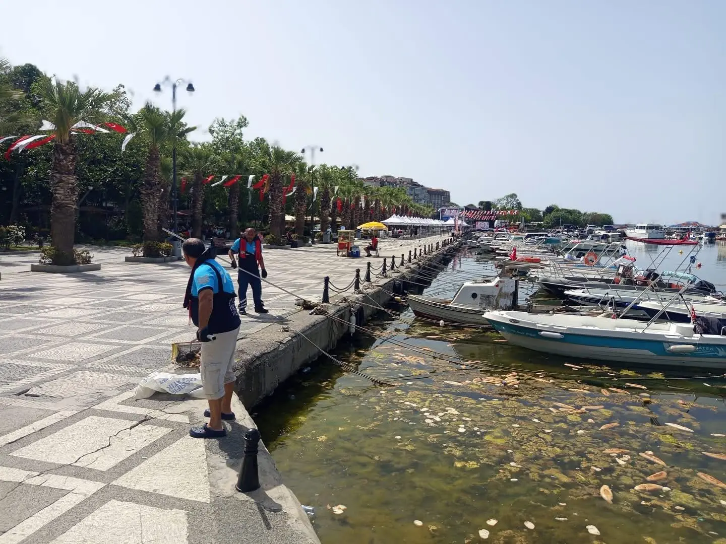 YAZ GELDİ SİLİVRİ KIYILARI TEMİZLENDİ silivri kıyı temizlik