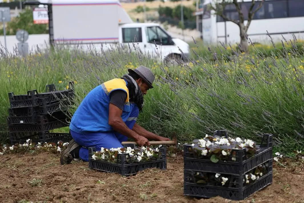 SİLİVRİ'DE YAZ HAZIRLIĞI silivri belediyesi park ve bahçeler