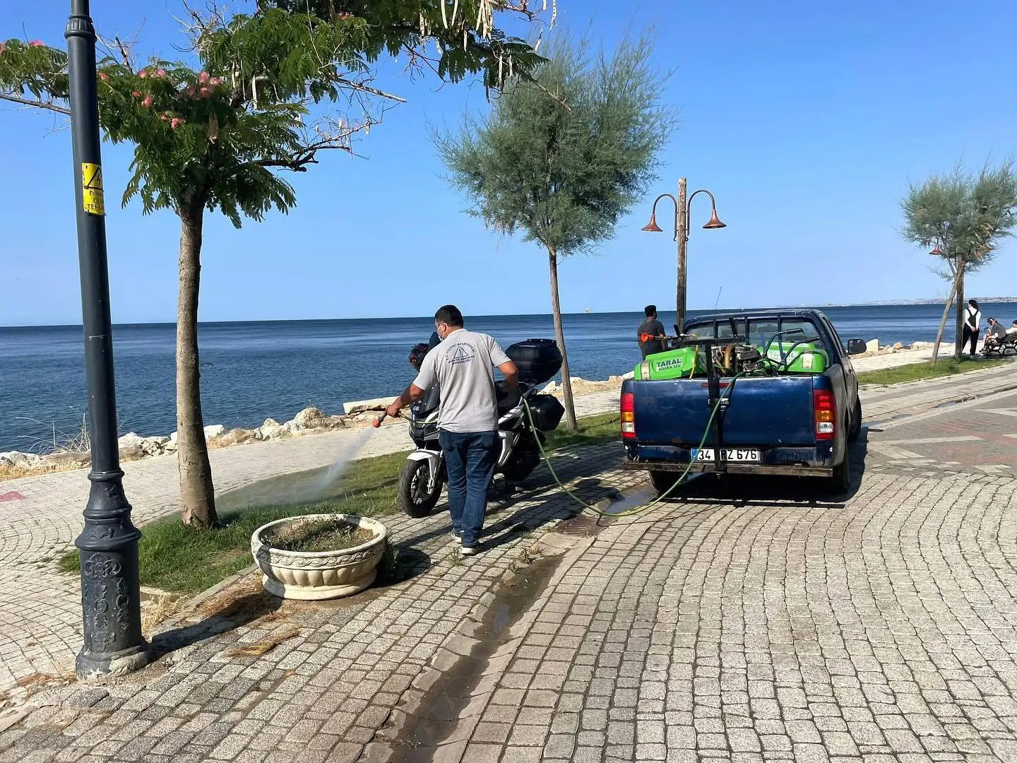 SİLİVRİ'DE KENE İLAÇLAMASI silivri kene ilaçlama