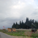 ENGİNARCI'NIN SAHTE MAĞDURİYETİ ALAY KONUSU OLDU Funda Avcıoğlu silivri enginar