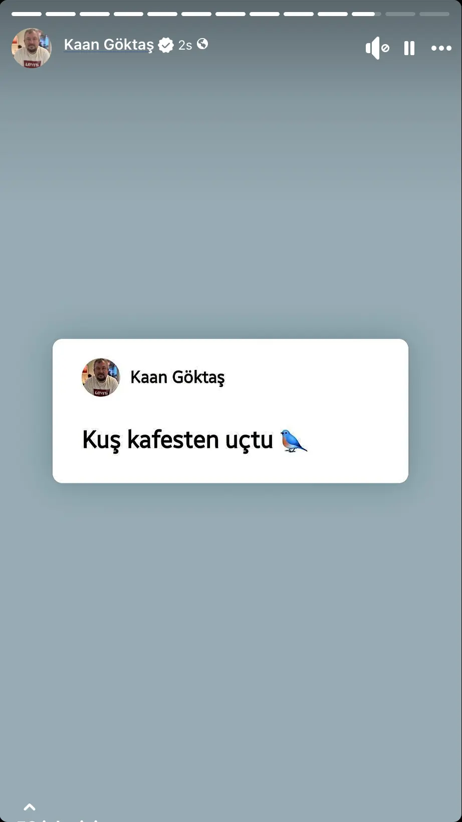 tan kıroğlu